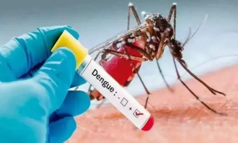 Sitapur: Dengue becoming
